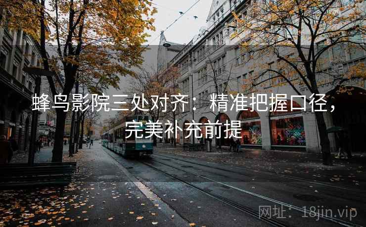 蜂鸟影院三处对齐：精准把握口径，完美补充前提
